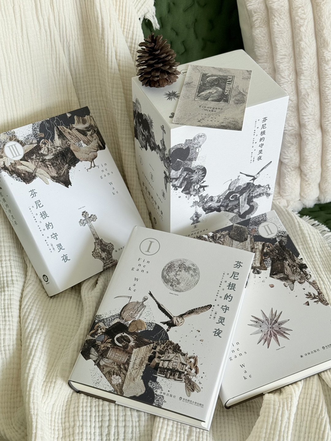 《芬尼根的守灵夜》拿下鲁奖翻译奖：18年译成、4万条注释，值得买，但只建议三类人出手