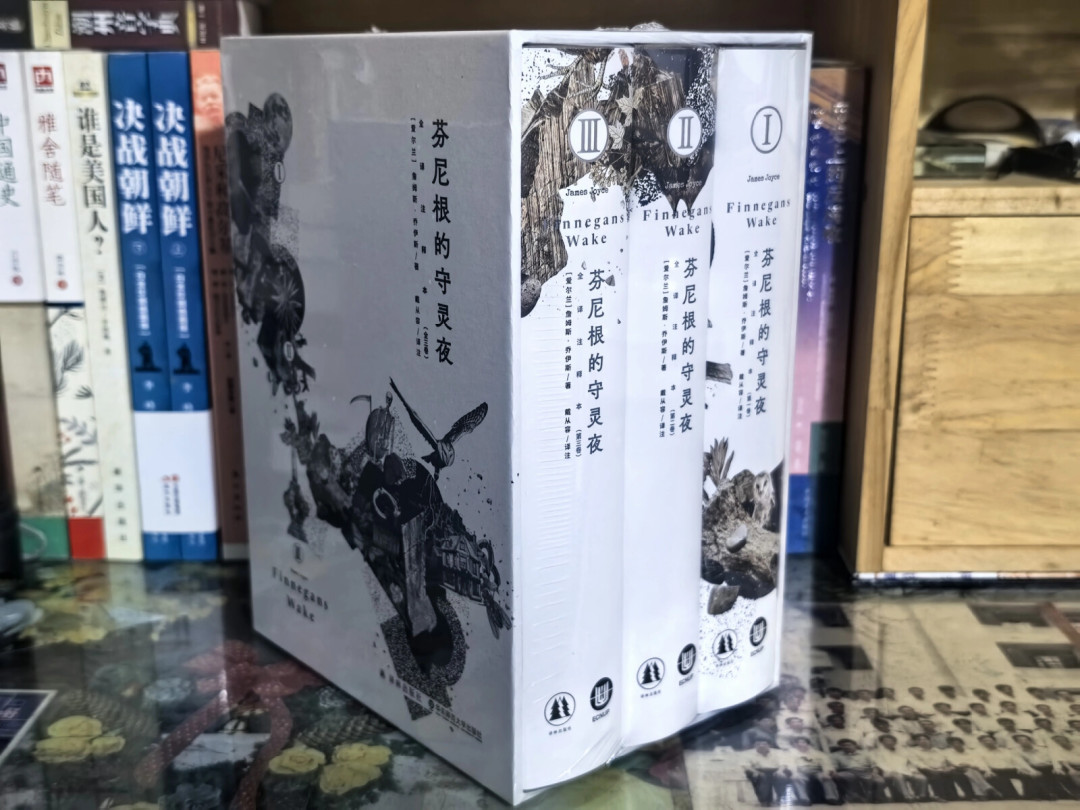 《芬尼根的守灵夜》拿下鲁奖翻译奖：18年译成、4万条注释，值得买，但只建议三类人出手