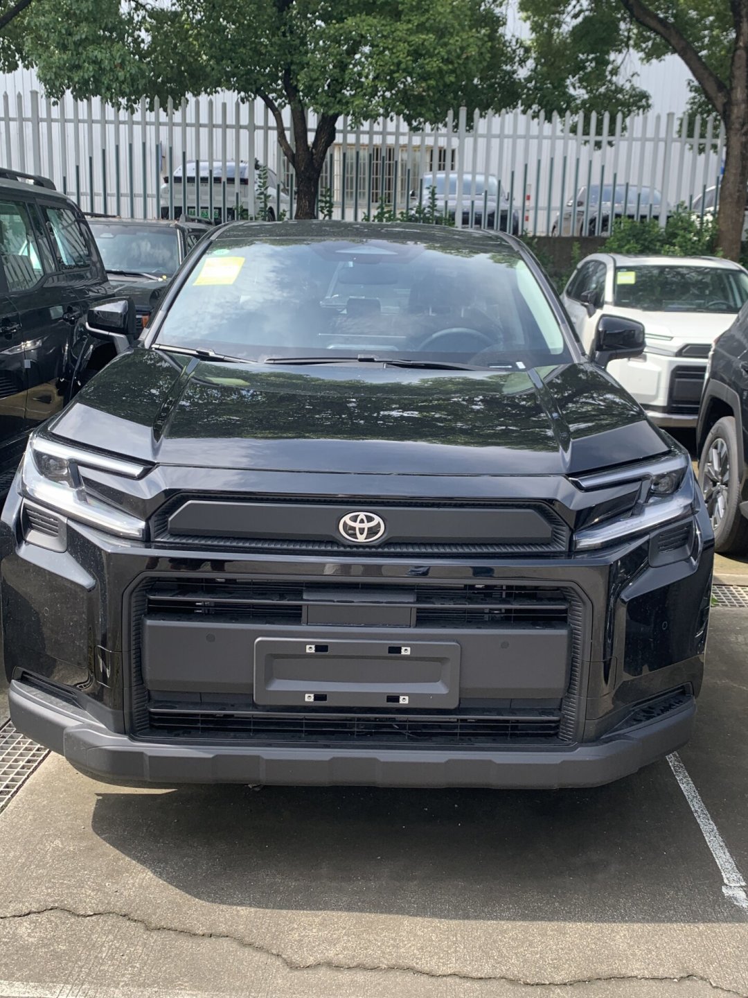 前十只剩一款燃油车，偏偏是丰田：一汽丰田四个“第一”含金量如何，8月怎么买