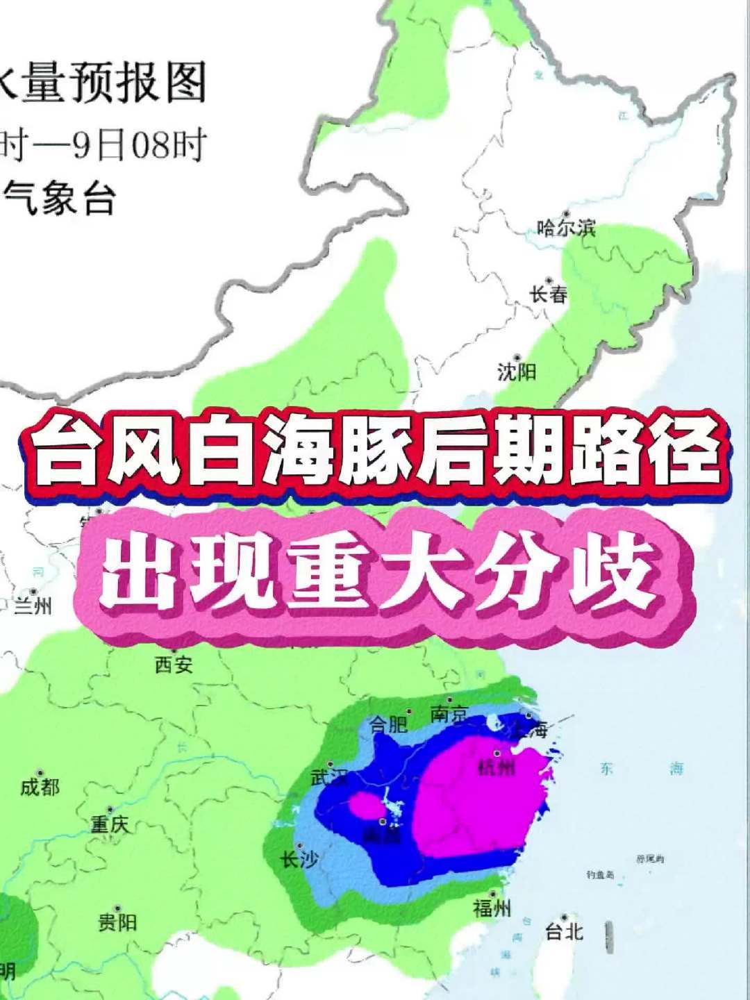 机票全退了,酒店却一分不退?白海豚过后,台风季出行止损4步+预订留后路5条