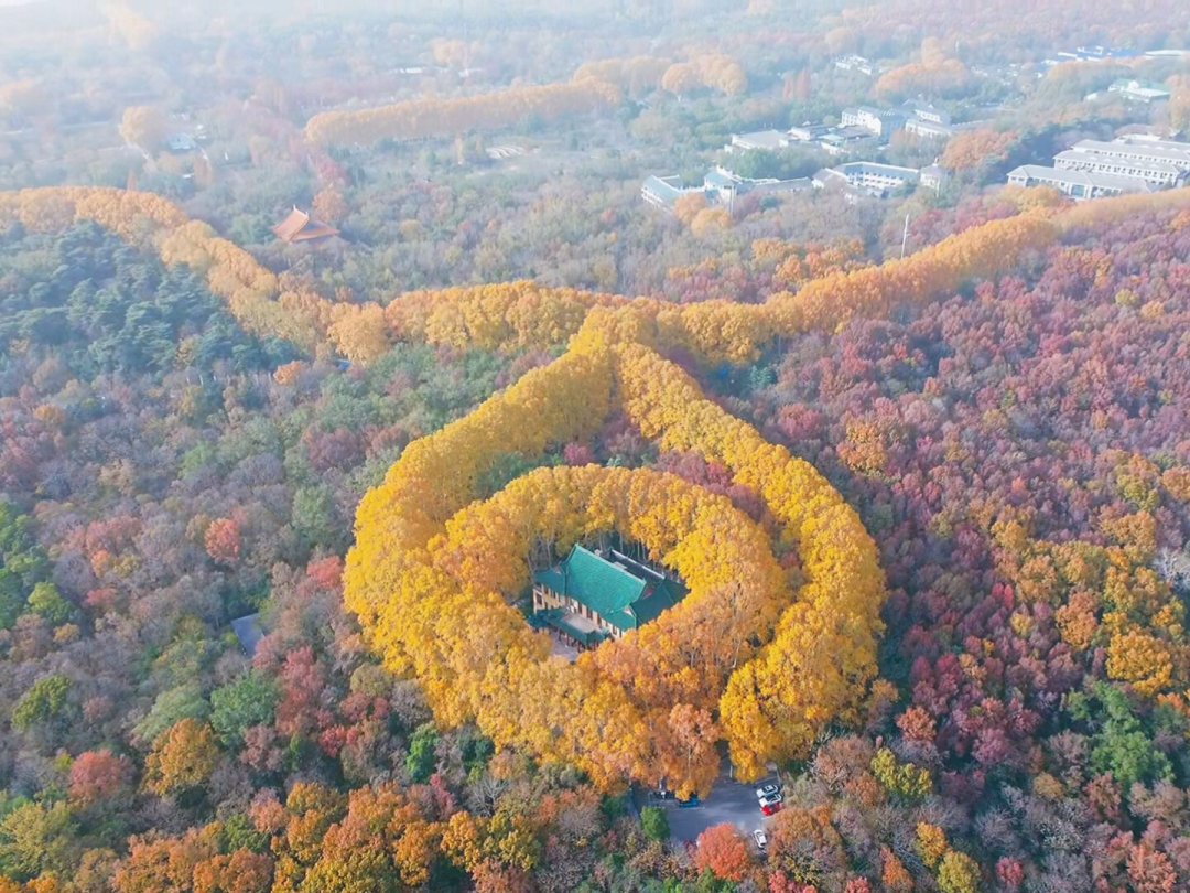 录取通知书还能当门票用:庐山7景区免票、钟山5景点免票、成都27家免票,2026级新生的入学前窗口