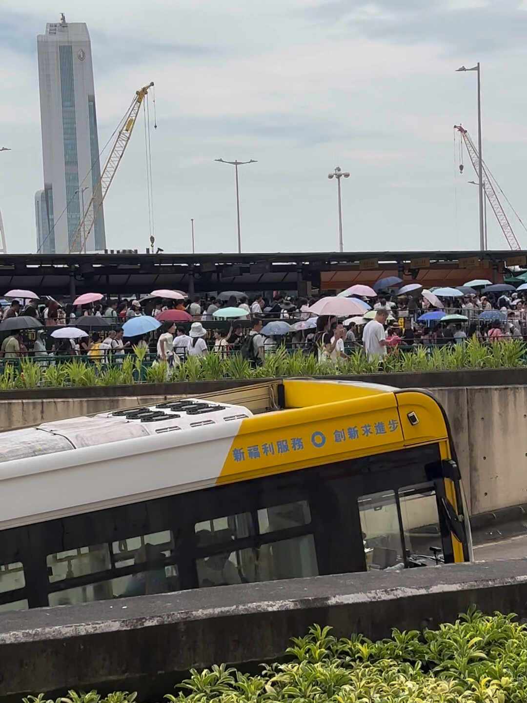 大三巴先还是新葡京先?澳门一日游攻略吵起来了,真正的坑在另外两步