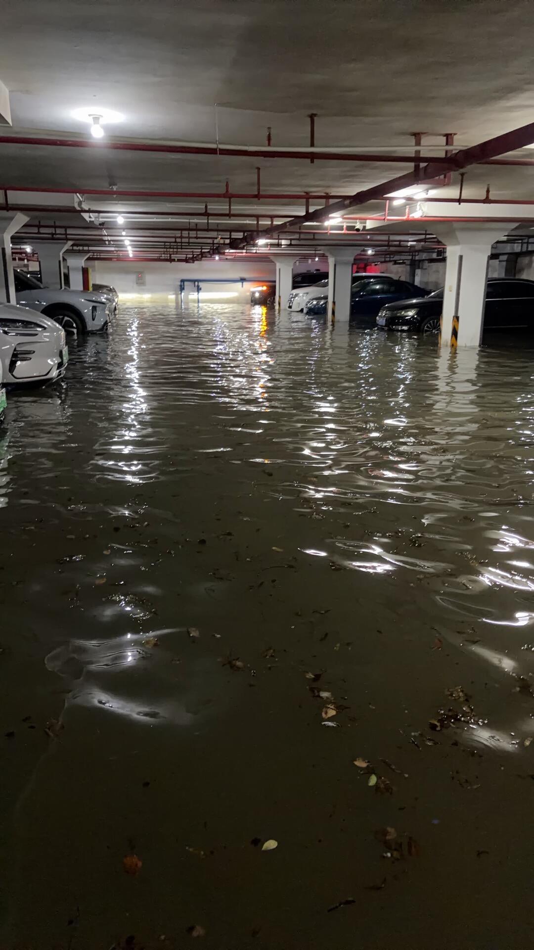 白海豚淹了沪锡地库后,我把网上热卖的“汽车防淹神器”查了一遍:多数没用,值得买的不超过3样