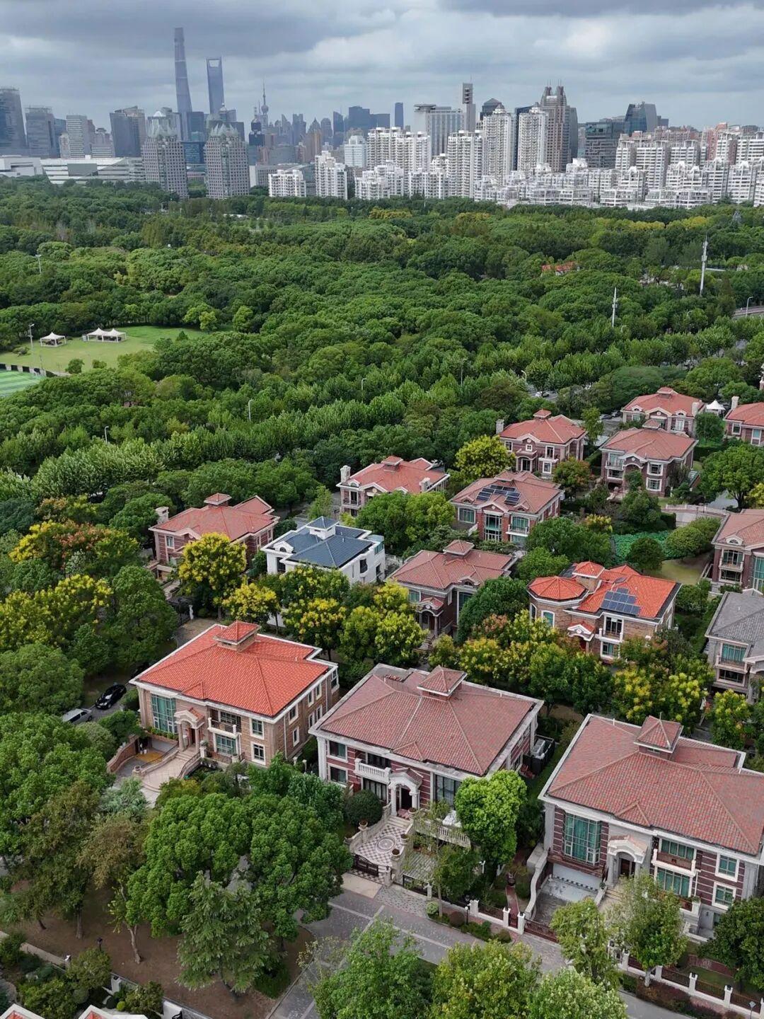 上海3.2亿别墅被徐州法院拍卖:起拍价恰好是市价7折,三个问题看懂