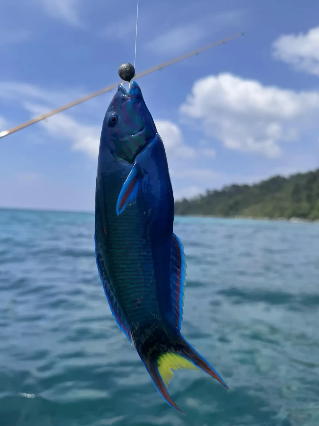 开海后第一次海钓,先别急着买竿:88元到3880元的玩法差在哪,20条踩坑帖我替你翻完了