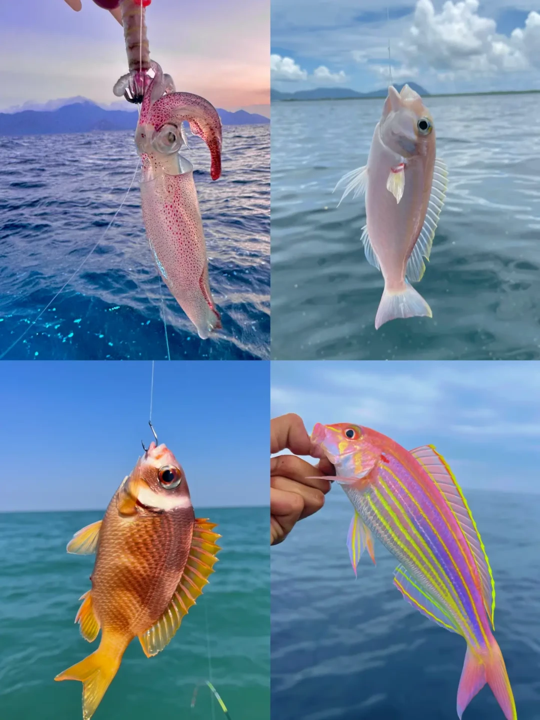 开海后第一次海钓,先别急着买竿:88元到3880元的玩法差在哪,20条踩坑帖我替你翻完了