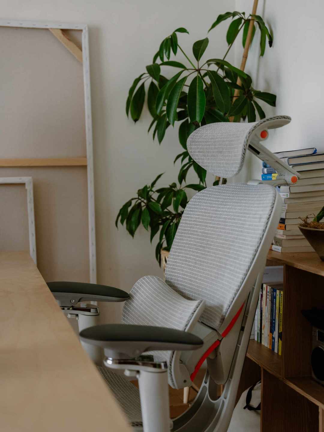 爱果乐开始给打工人做工学椅了:有人说“小个子宝藏”,有人说“用一个月就散架”