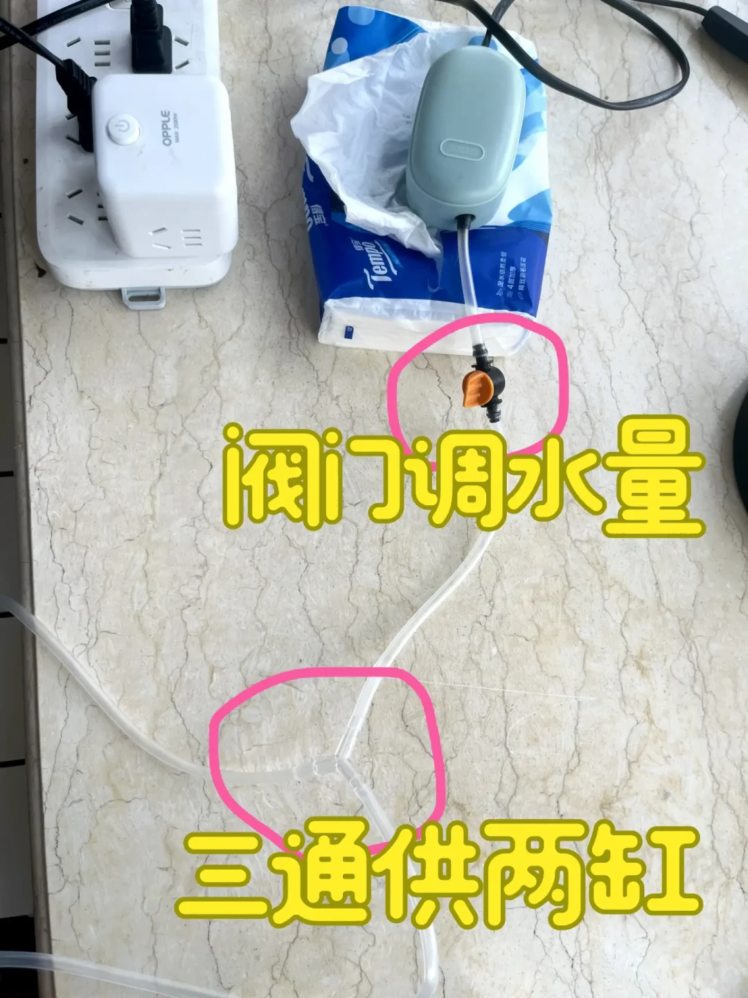 台风季一次停电就够全缸覆没：实测48小时溶氧从7.62掉到2.74，几十块钱能把损失变成虚惊