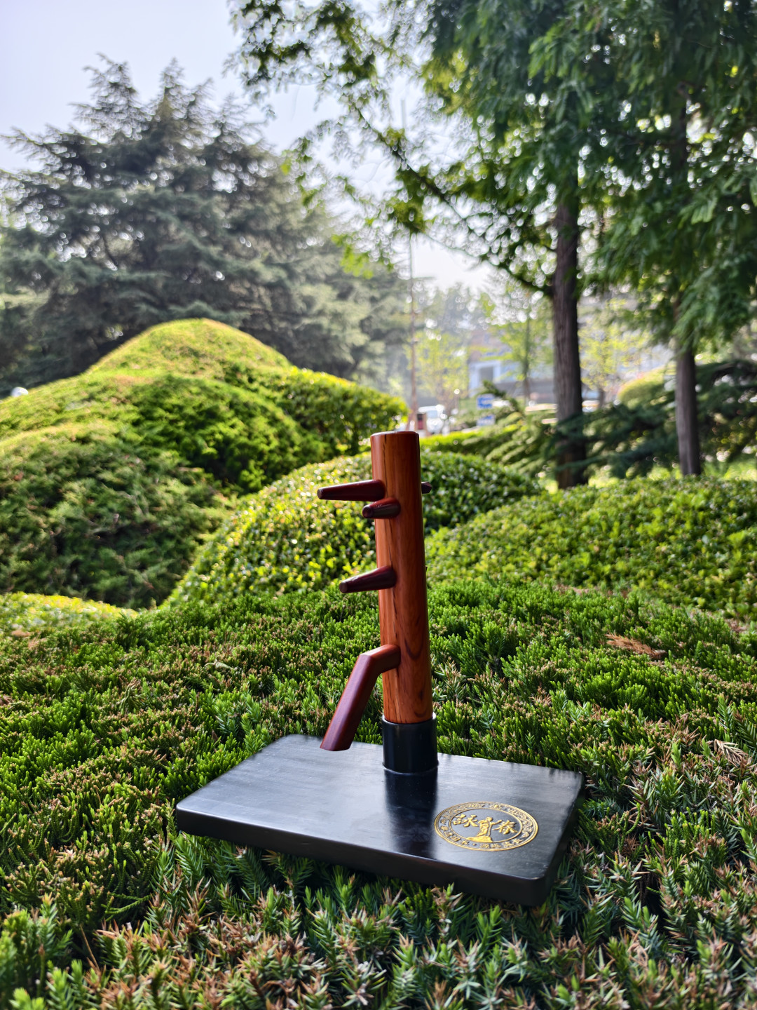 《火遮眼》连拿三奖,咏春木人桩又被影迷盯上了:从10元平替到1700元实木,入手前先算这三笔账