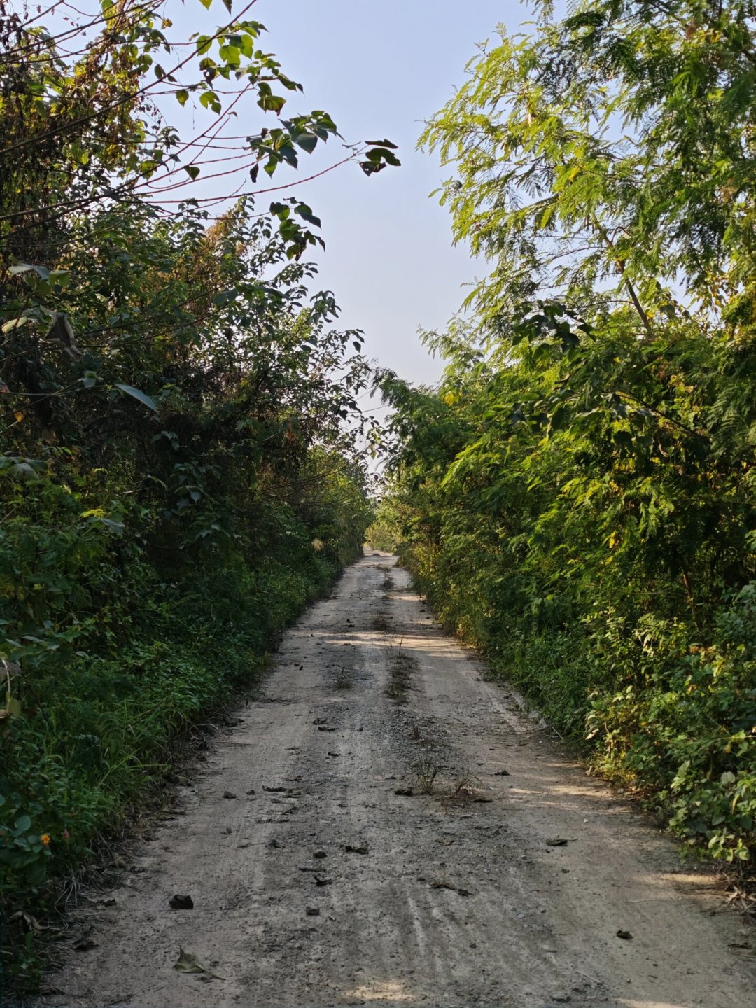 买了瓜车没路骑？我把全网都在聊的砾石路整理成了这份「找路指南」