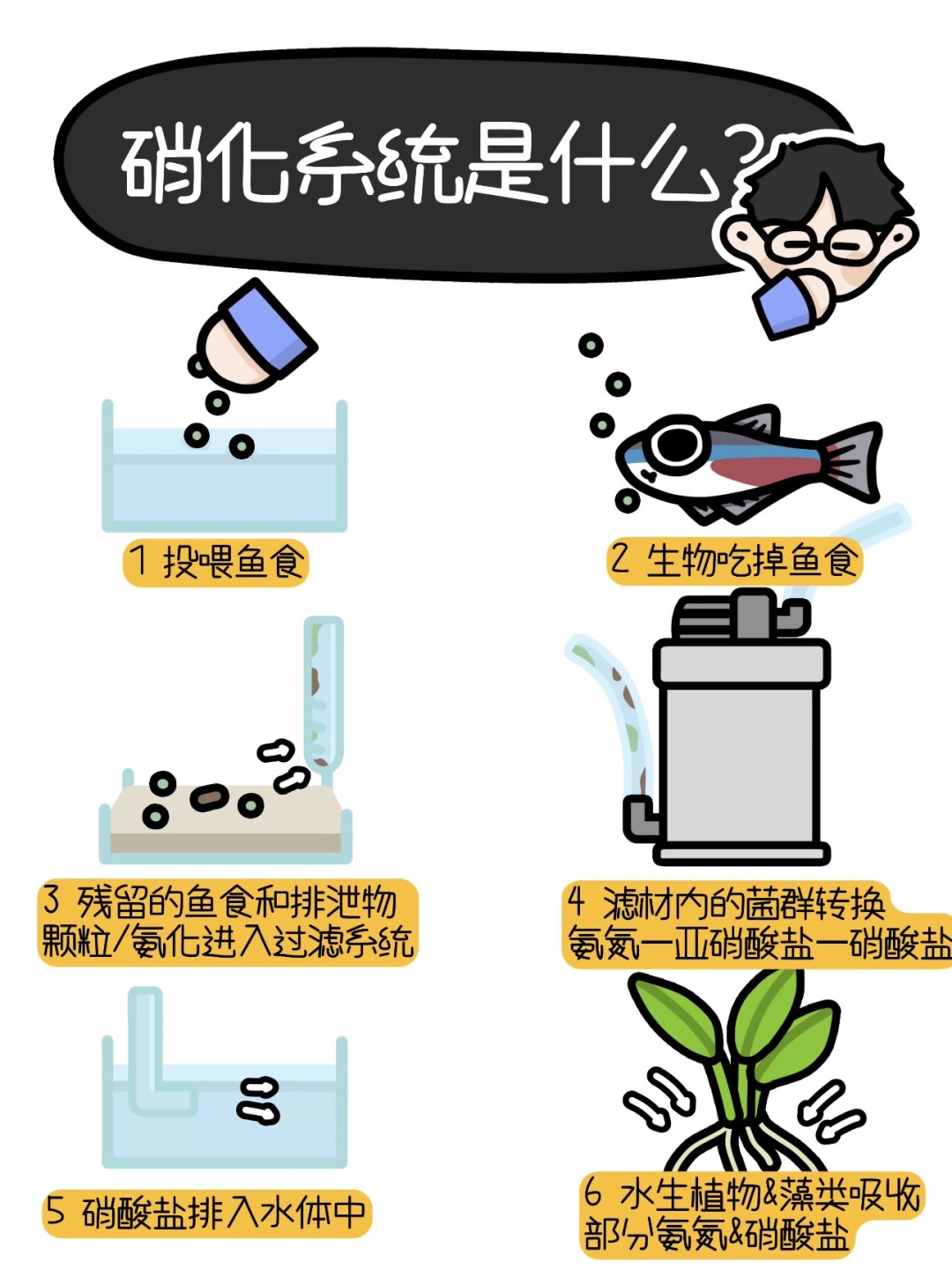 你花99块买的硝化细菌，可能根本不是