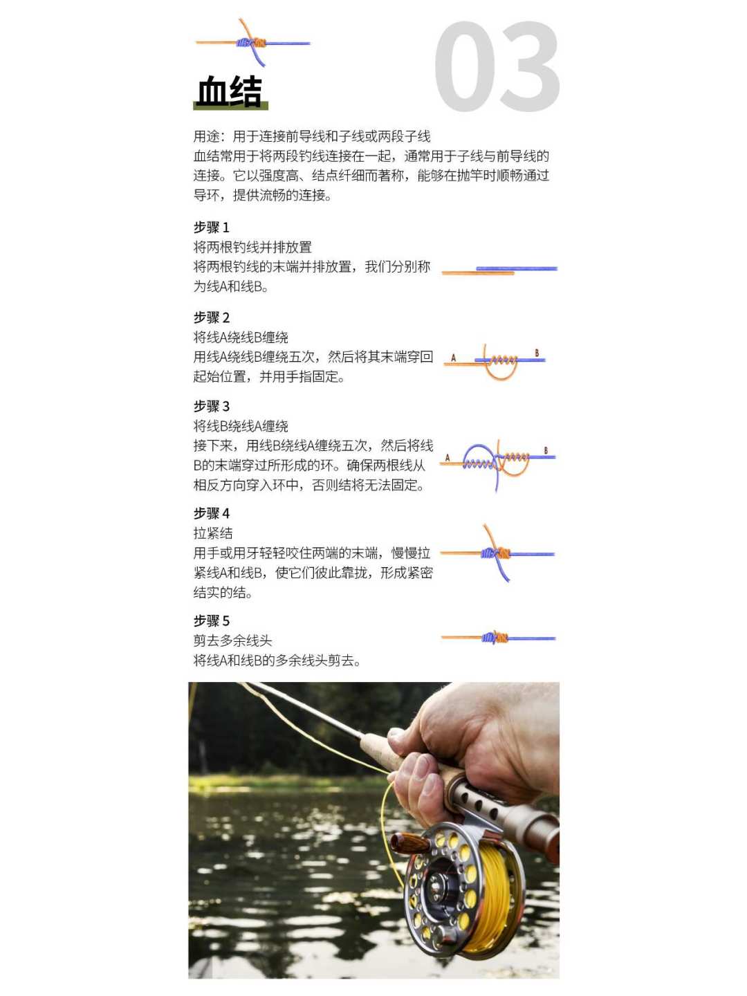 跑鱼多半不是钩的问题：翻完全网线结教程，飞钓其实只用学这5个结