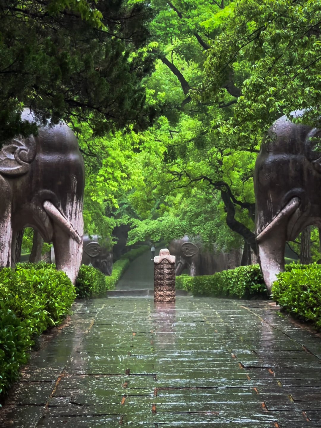 中国古代死人不都是土葬?宋代火葬流行到法律都拦不住