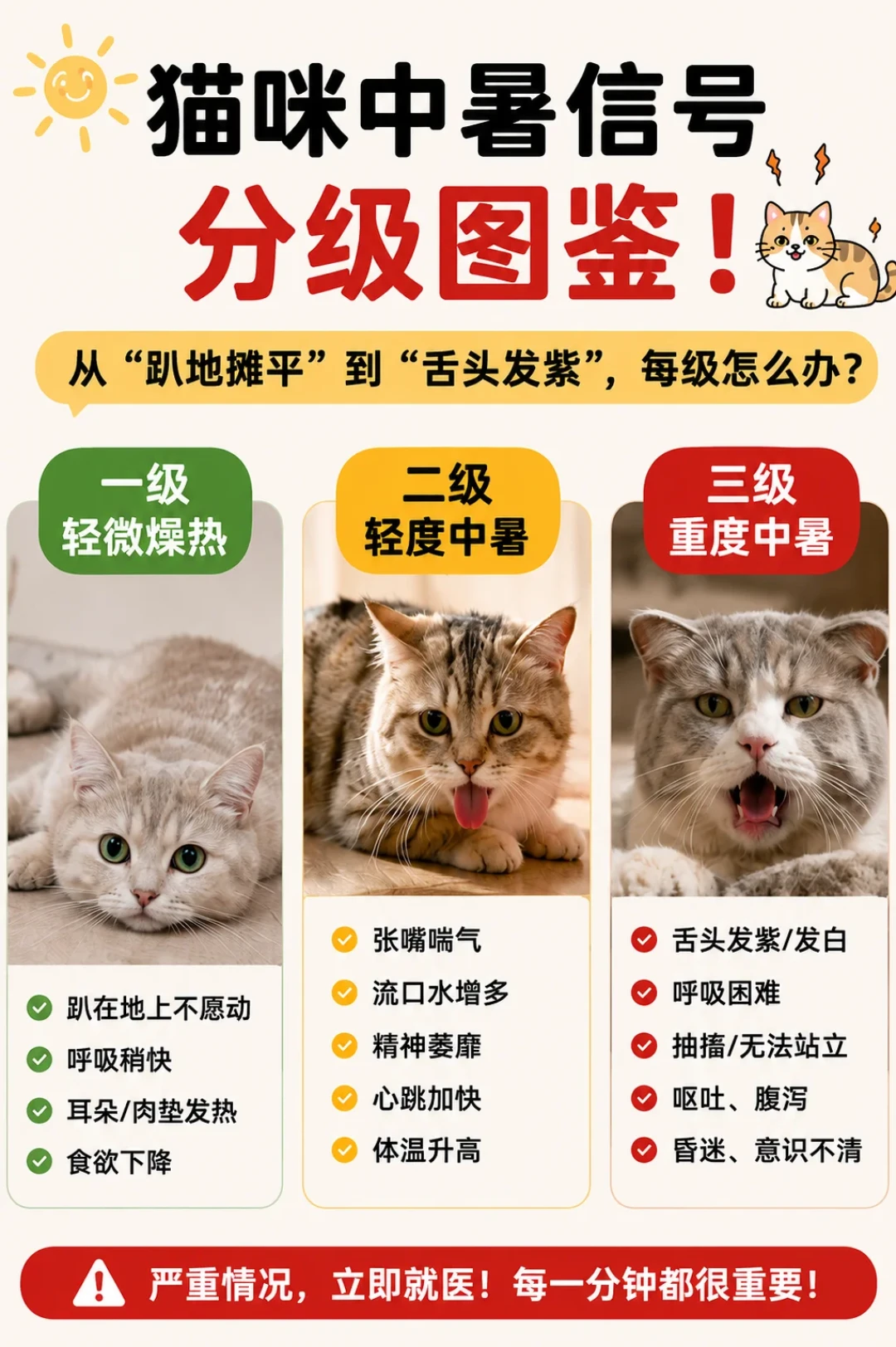 猫张嘴哈气不是卖萌:三档信号判断中暑,4个错救更致命,先看懂再动手