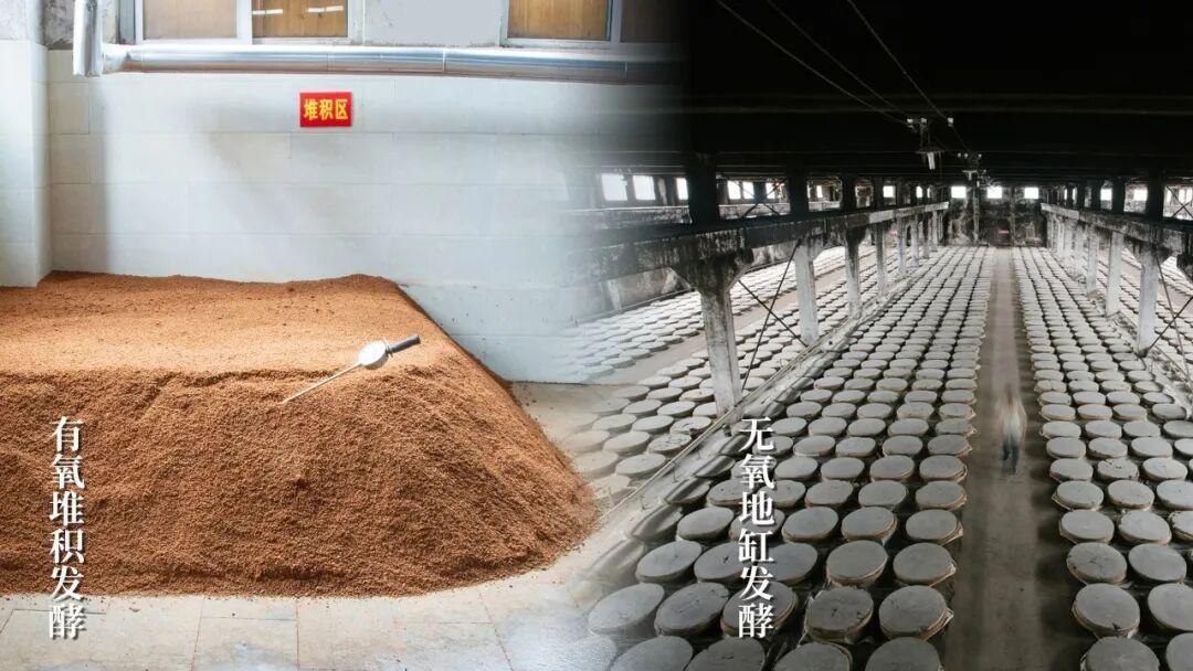 自由爱带火了宝丰，但宝丰真正的家底在别处：嫡系价格带一张表