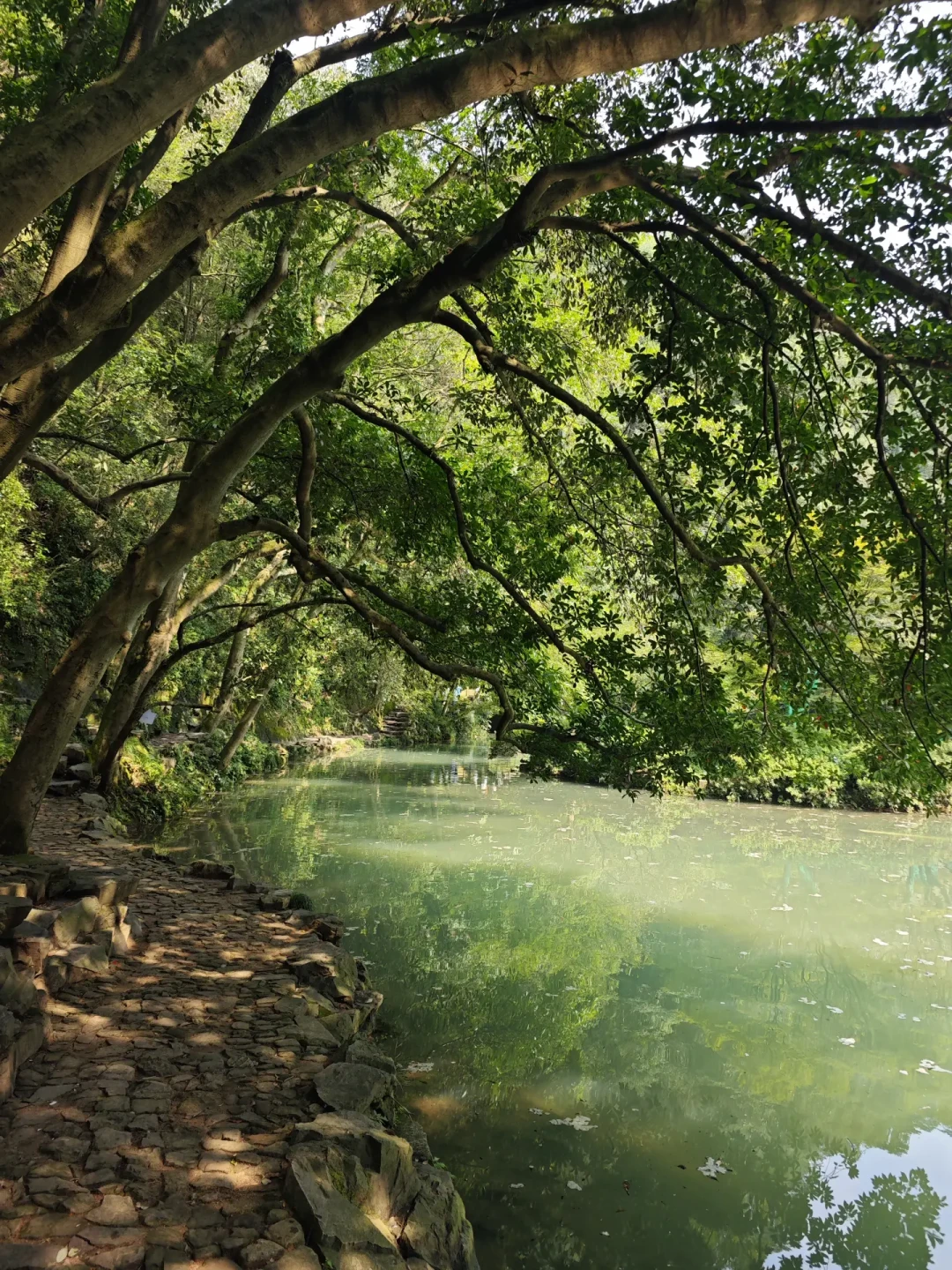 所有人都在防中暑，今夏山野被低估的风险却是失温：5起真实案例与一份