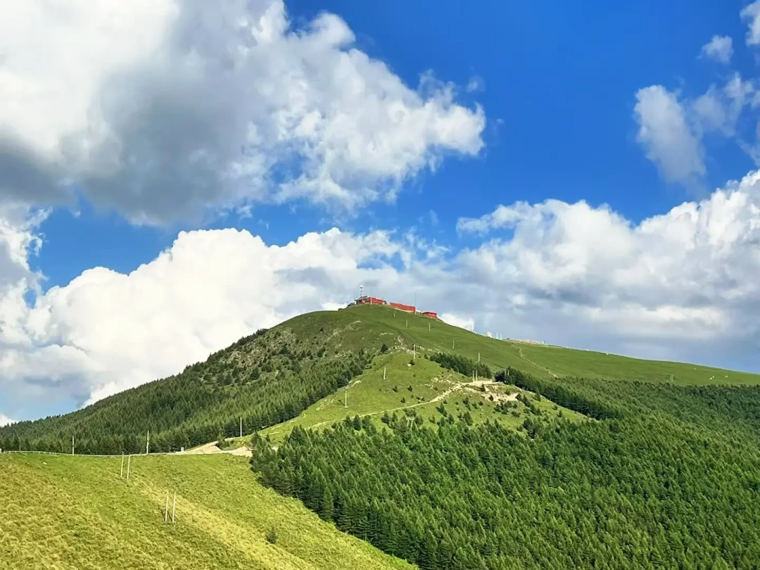 五台山大朝台8.20-8.27再封控:买了票、约好搭子的,先别硬闯,把这份窗口日历看完