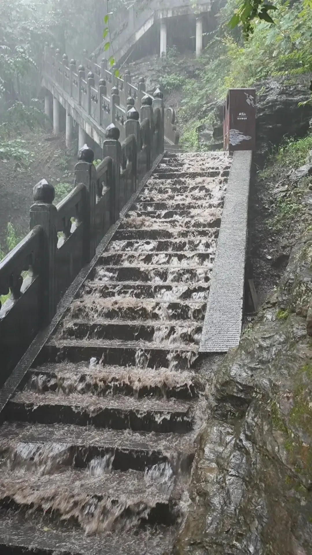 68块的雨衣被老驴喊无敌,几千块的冲锋衣里外全湿:翻了30多篇淋雨帖,才搞懂夏天雨具的钱该怎么花
