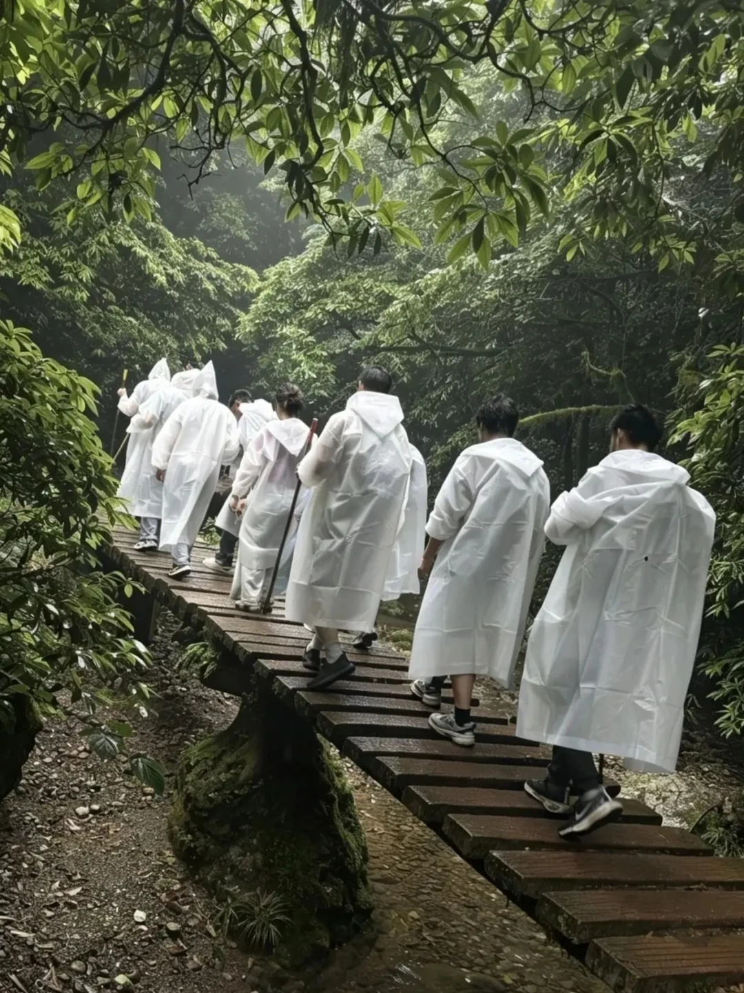 68块的雨衣被老驴喊无敌,几千块的冲锋衣里外全湿:翻了30多篇淋雨帖,才搞懂夏天雨具的钱该怎么花