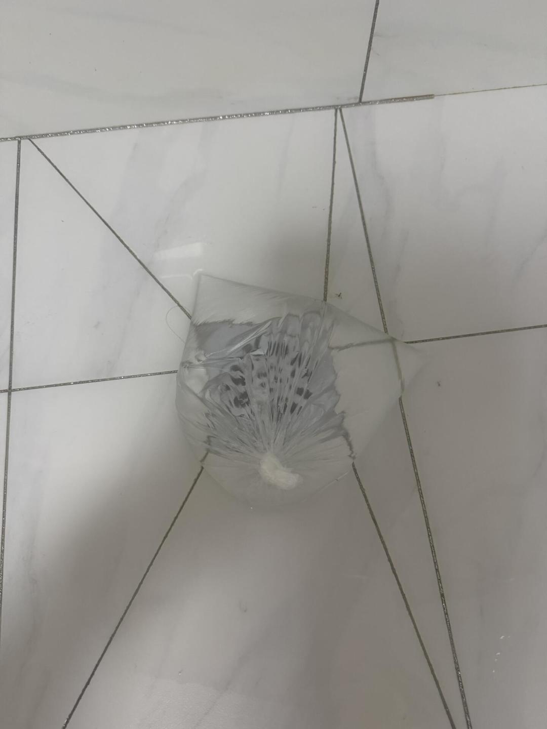 卫生间蛾蚋杀不绝?你杀的只是零头:6个隐蔽孳生源+土办法分级表,先排查再花钱