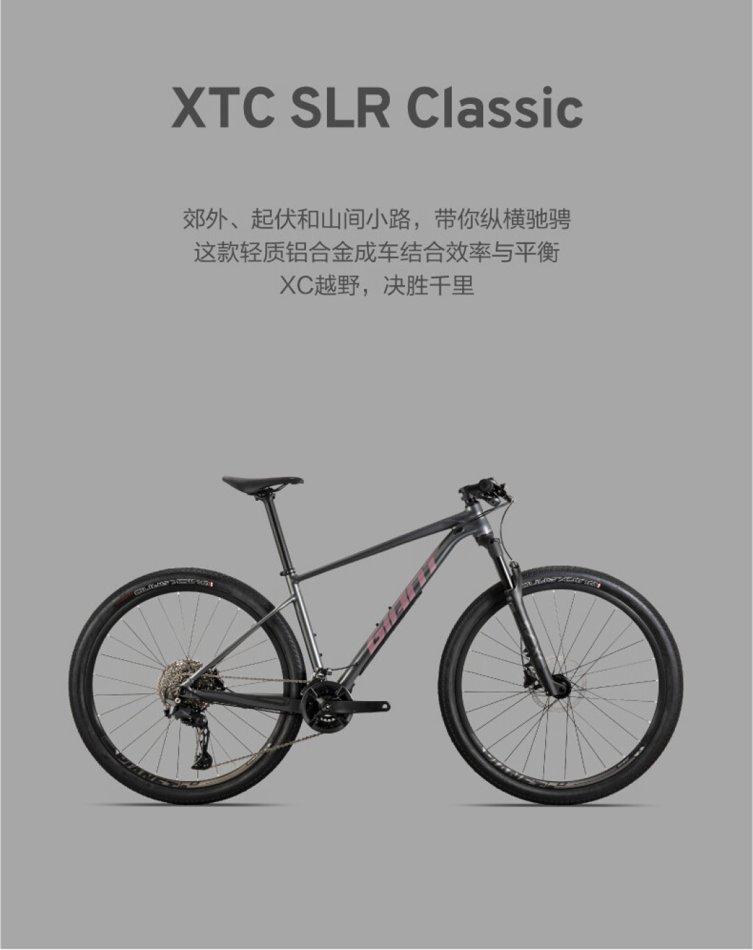 别急着问买Trail还是XC:先搞清楚你家附近有没有真林道