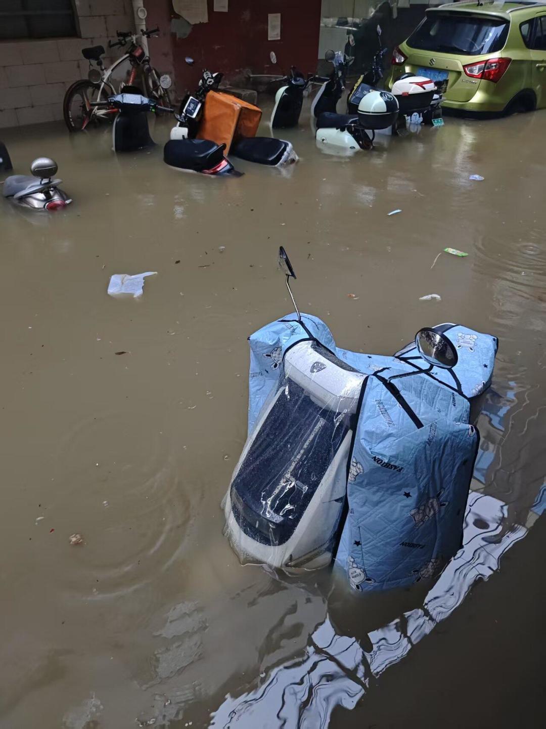 武康路哈雷泡水趴窝被转发4.4万次:车主雨后先做这6项自查,想捡漏二手哈雷的先学会认泡水车