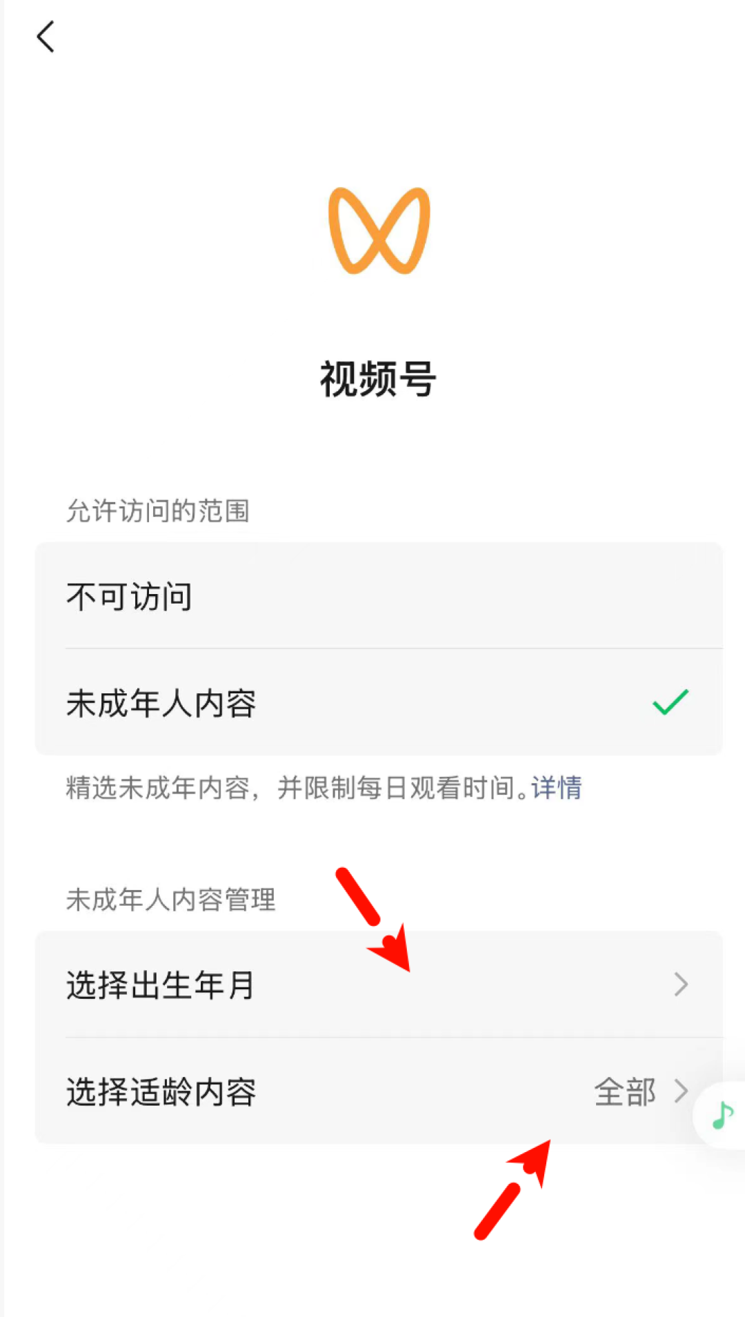 拔网线没用,青少年模式是空壳:孩子暑假刷短视频上头的家长,开始自建影音库了