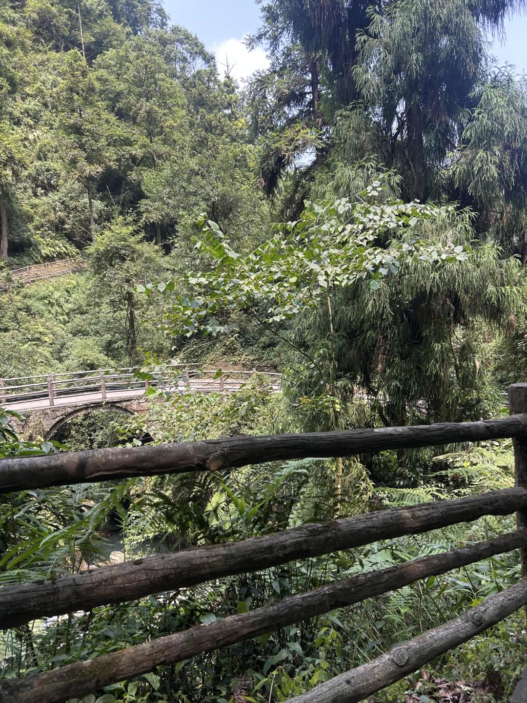 峨眉南线封了满月,北线一场暴雨就关两天:出发去走“半程版”峨眉山前,先算清这三笔账