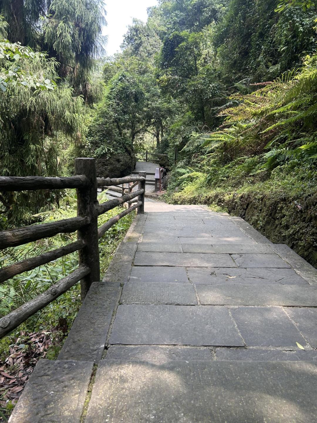 峨眉南线封了满月,北线一场暴雨就关两天:出发去走“半程版”峨眉山前,先算清这三笔账