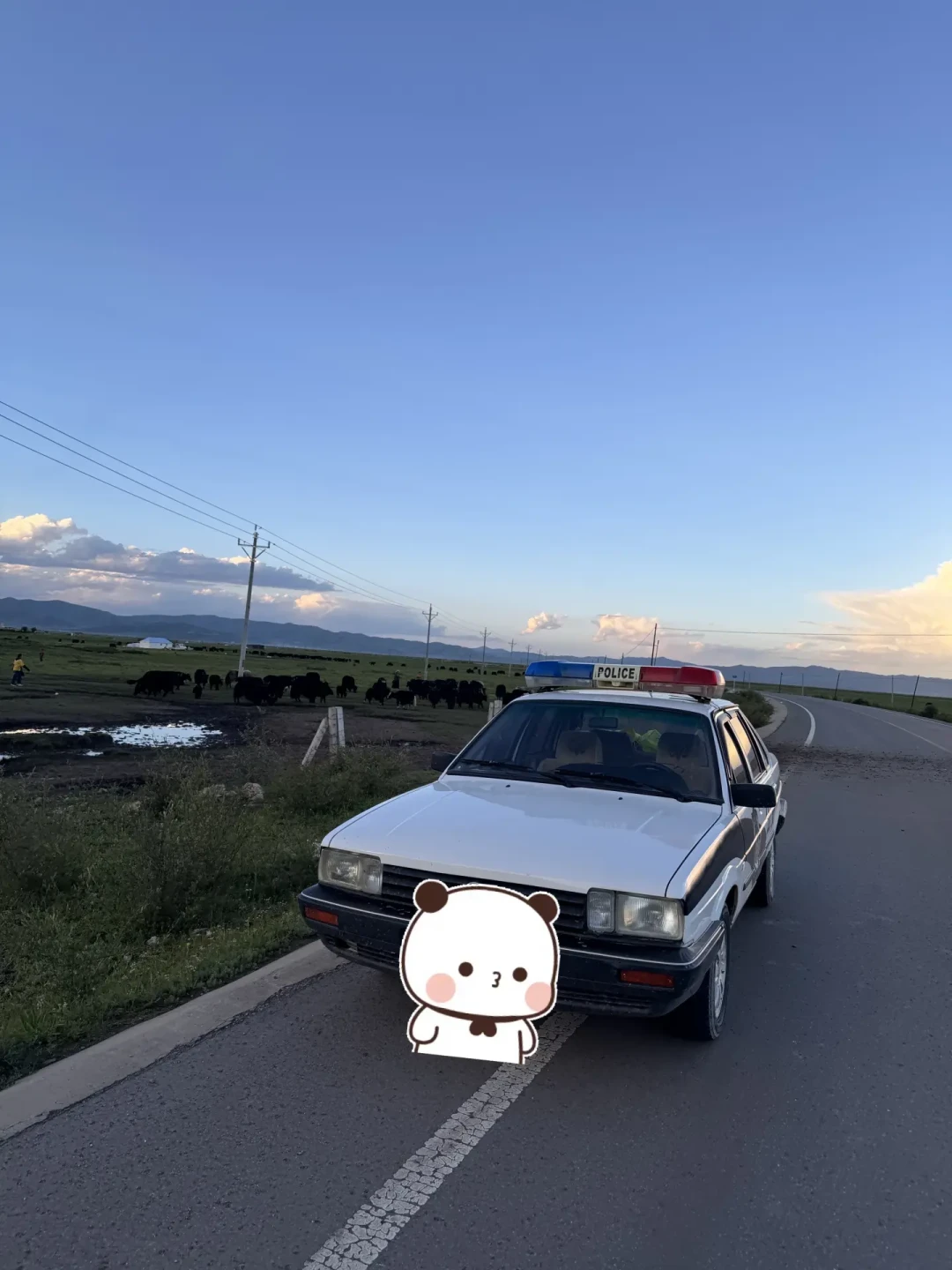 318上撞了牦牛，便宜的赔4000，贵的要8万8：翻了全网20多个真实案例，这份赔偿手册出发前先存好