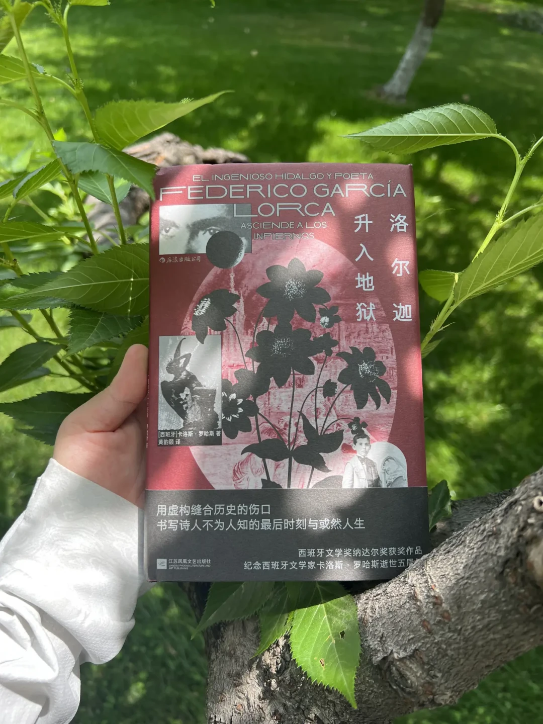 8月19日是洛尔迦遇难90周年:中文诗集还在流通的4个版本,先买哪本、别高价追哪本