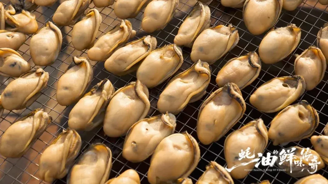《蚝油的鲜味传奇》更到第2集:陈晓卿团队操刀、海天特别支持,值得追吗?选蚝油的3步也说清了