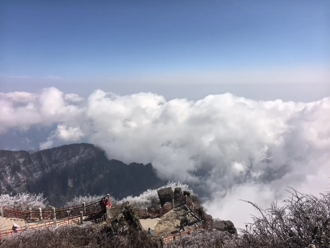川航登机牌别扔：50家景区最高5折管到年底，但这三个条件最容易白跑