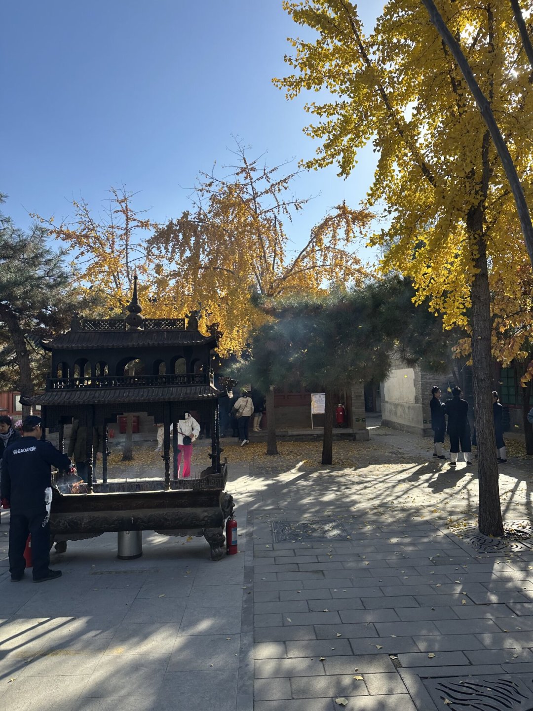 全网都在嘲全真教丘处机是