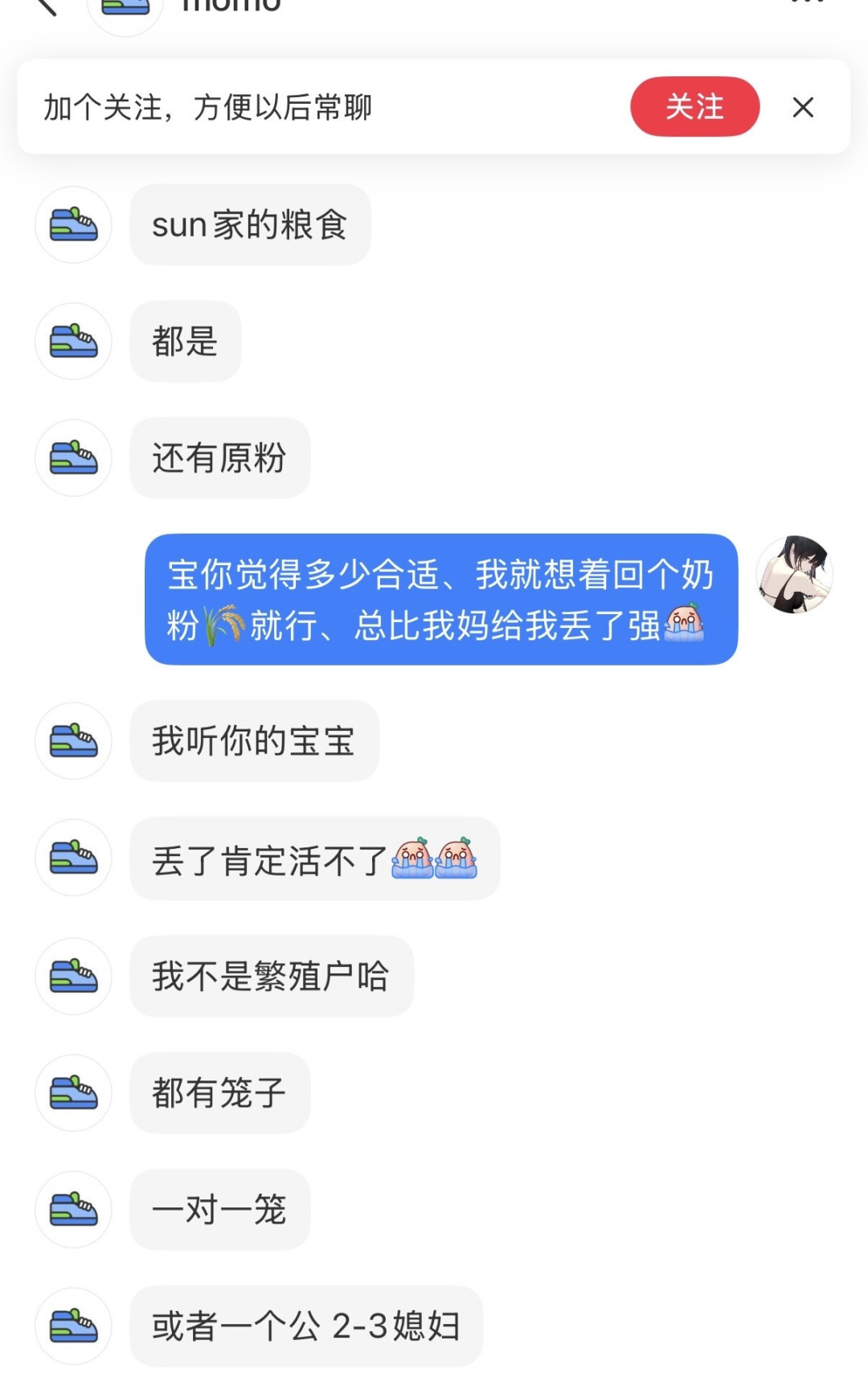 两天,小红书上出现十几只“免费送”的蜜袋鼯:免费不是坑,“接”的方式才是
