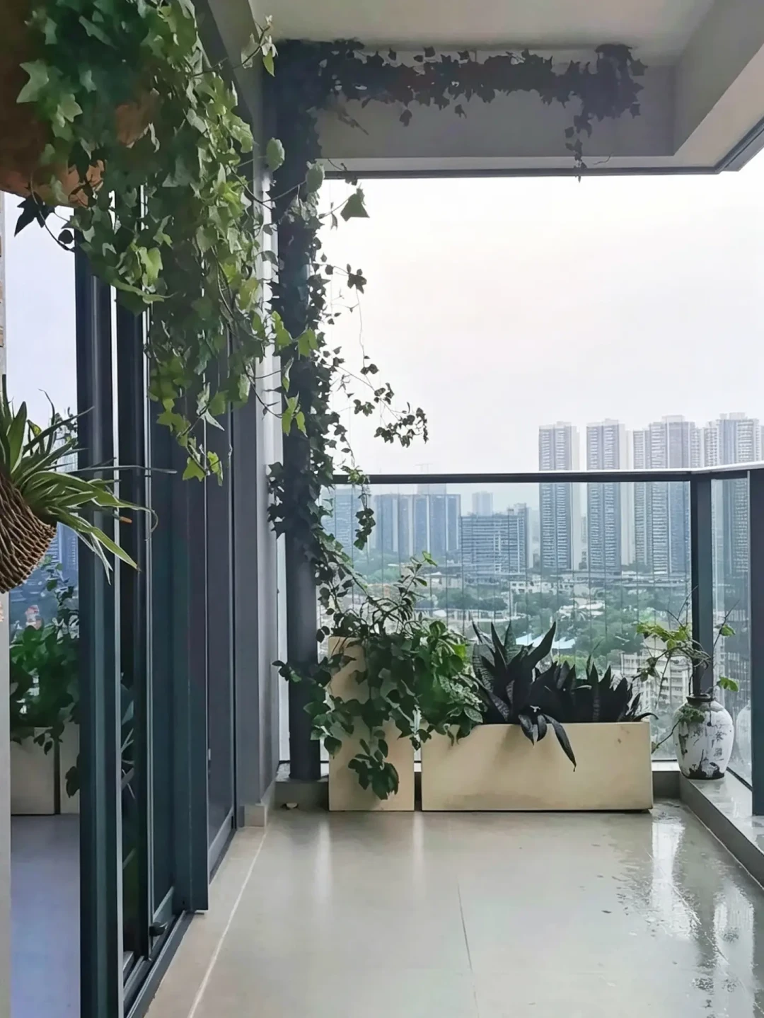 白海豚刚停编,两个新台风又在酝酿:对完这一轮进水复盘帖、老手清单和软广,我把台风前的收纳动作按0元、小钱、大钱排了序
