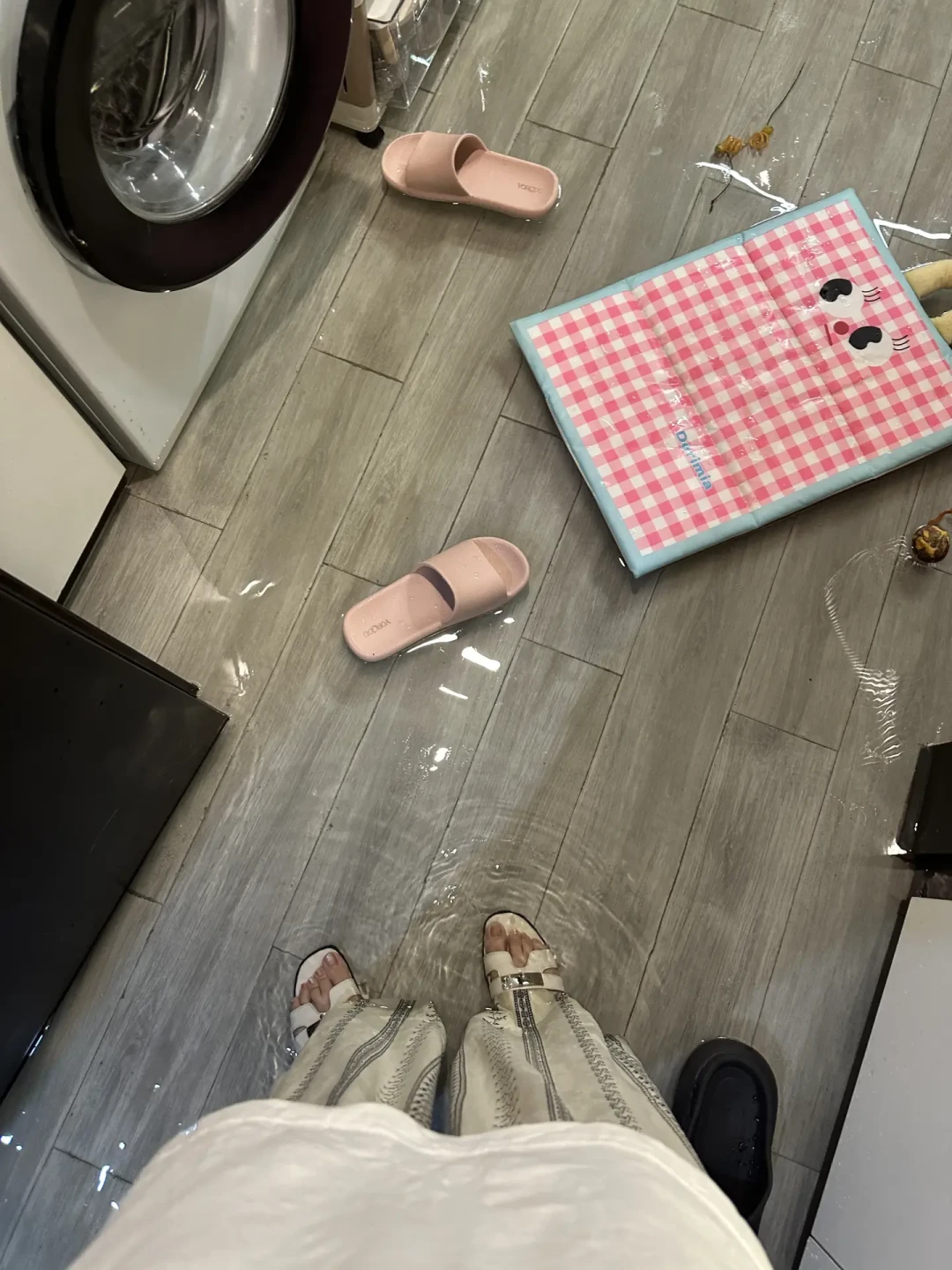 白海豚刚停编,两个新台风又在酝酿:对完这一轮进水复盘帖、老手清单和软广,我把台风前的收纳动作按0元、小钱、大钱排了序