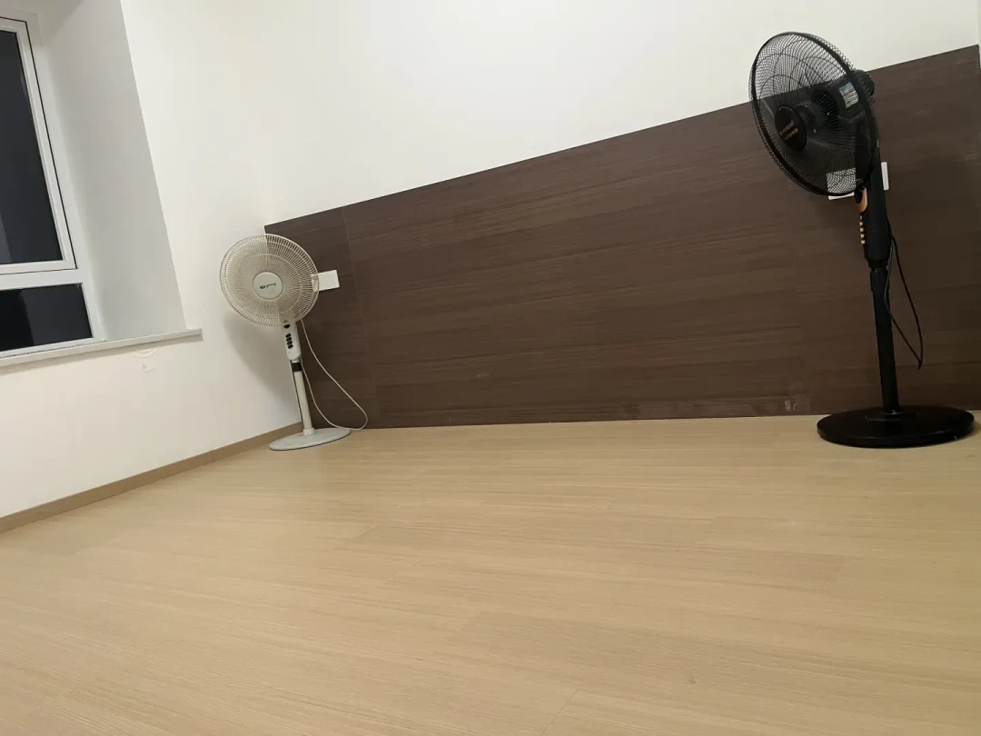 白海豚刚停编,两个新台风又在酝酿:对完这一轮进水复盘帖、老手清单和软广,我把台风前的收纳动作按0元、小钱、大钱排了序