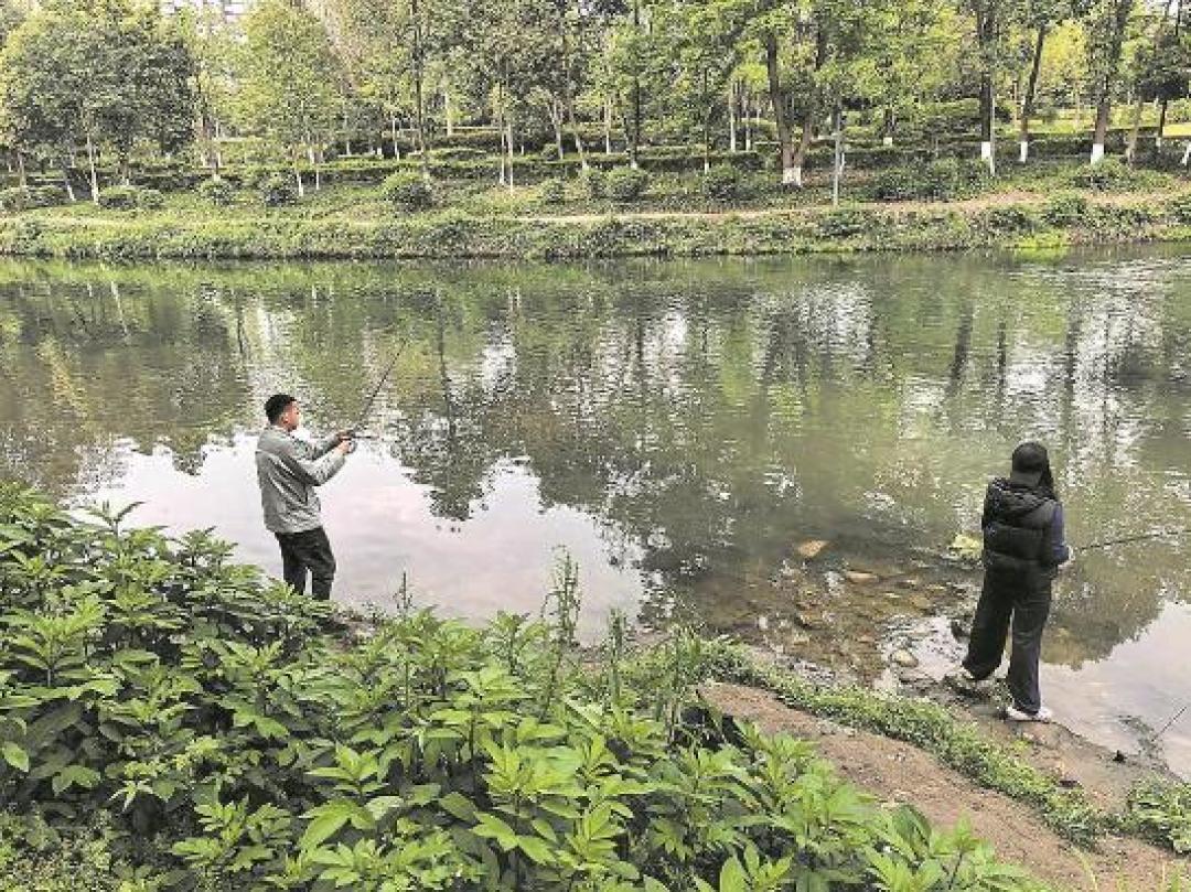 三本钩全面禁用是谣言,但长江流域真会被罚:路亚人解禁后的换钩自查