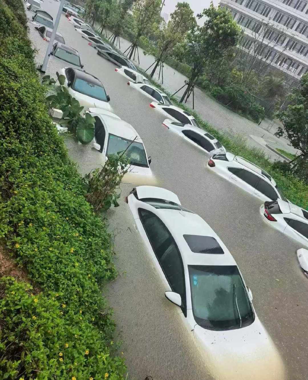 千叶暴雨泡了约2700辆车，「半数车主保险赔不了」刷屏：把国内车损险条款和近期判例逐条对完，3种情况赔、3种情况不赔，还有一个动作谁做谁吃亏