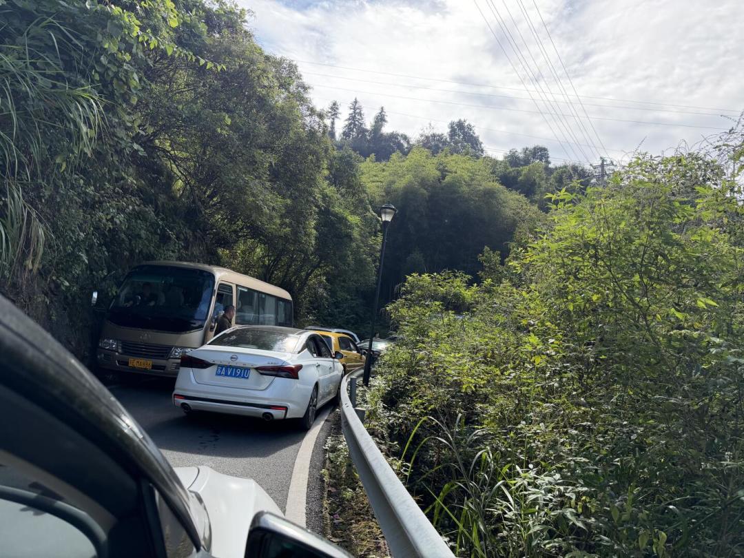 被导航导进芒果地小路,一家五口困在深山:进山前,这4类信号别指望导航