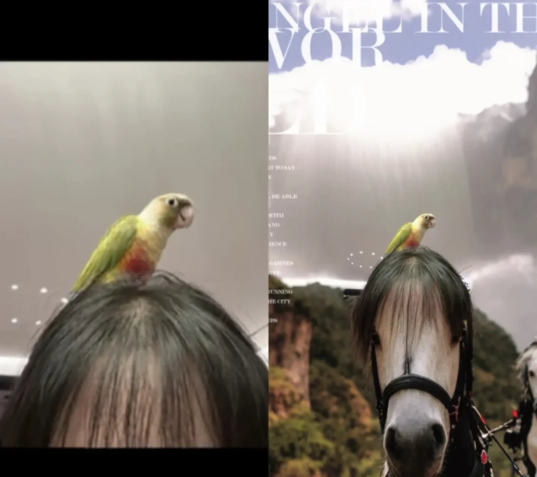 刷屏的