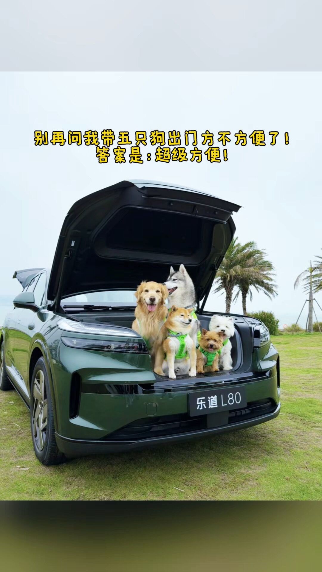 乐道明天带L80和L60进亚宠展:但19日普通观众进不去,携宠不申报不让带——出发前核对这5件事
