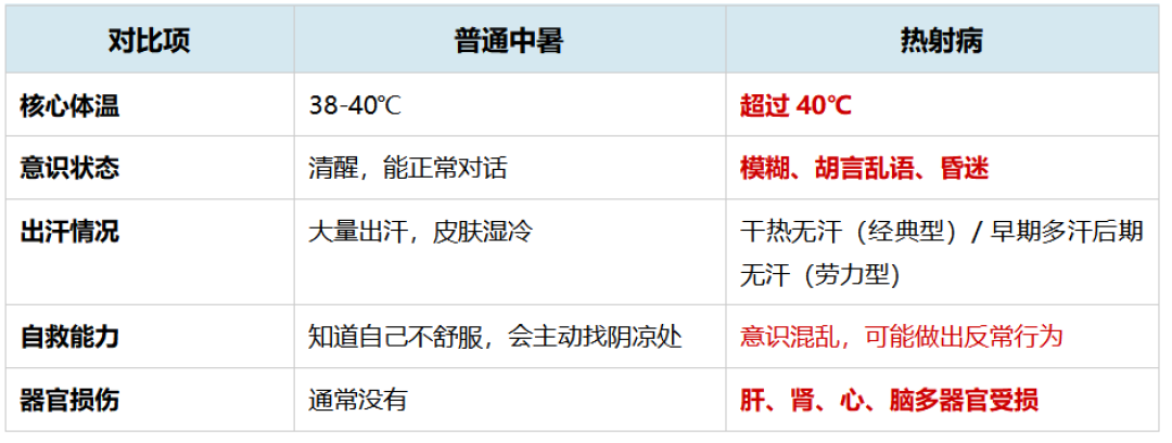 军训已经开训,全网疯传的“保命套装”别乱买:翻完40多篇热帖和急诊医生建议,哪些钱该花、哪些是智商税、什么真救命,一次说清