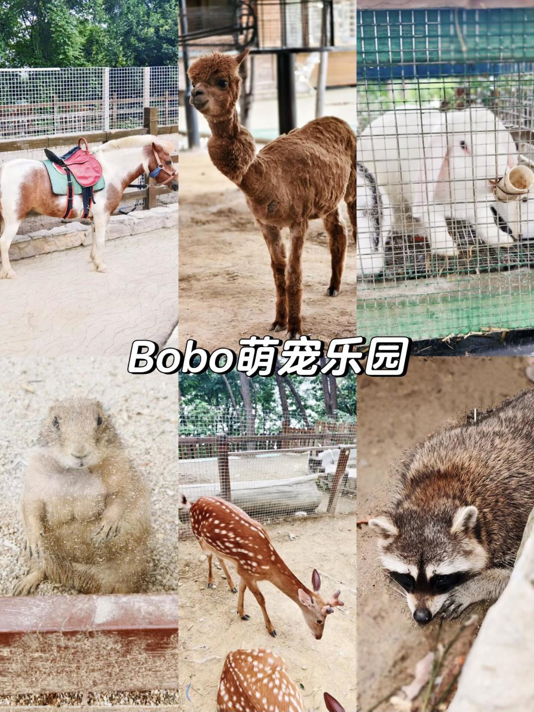 919大促开抢：