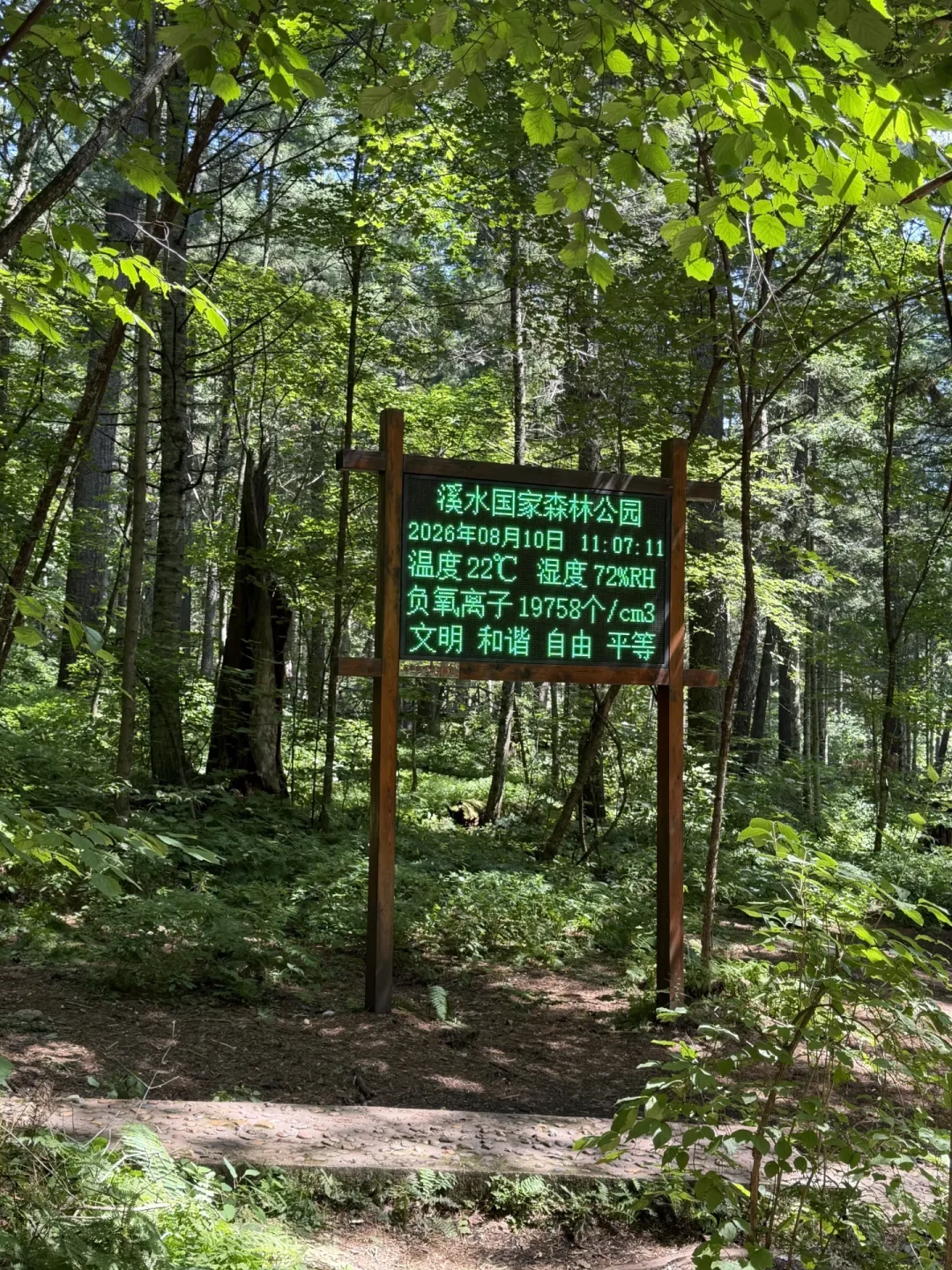 伊春挤进暑期搜索热度TOP10,哈伊高铁也启动试验了:这波“森林浴”避暑,值不值得冲、怎么玩不亏