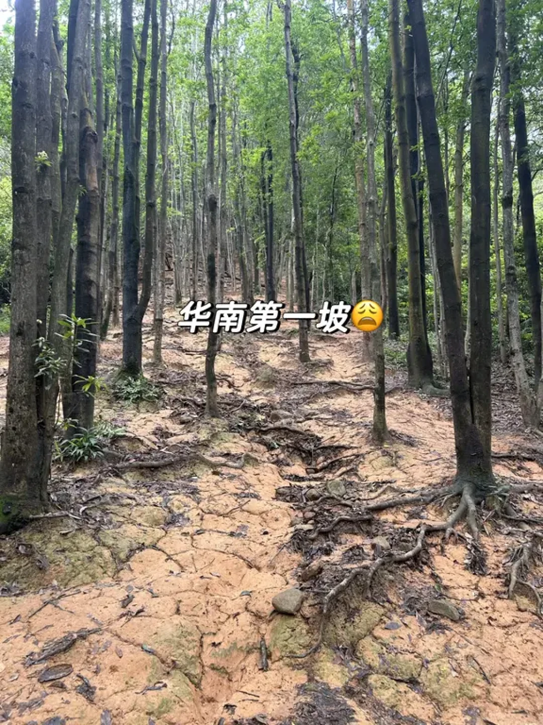七夕最户外式的表白是“用脚画心”:六城爱心线徒步路线对比,先看你的腿能不能走完