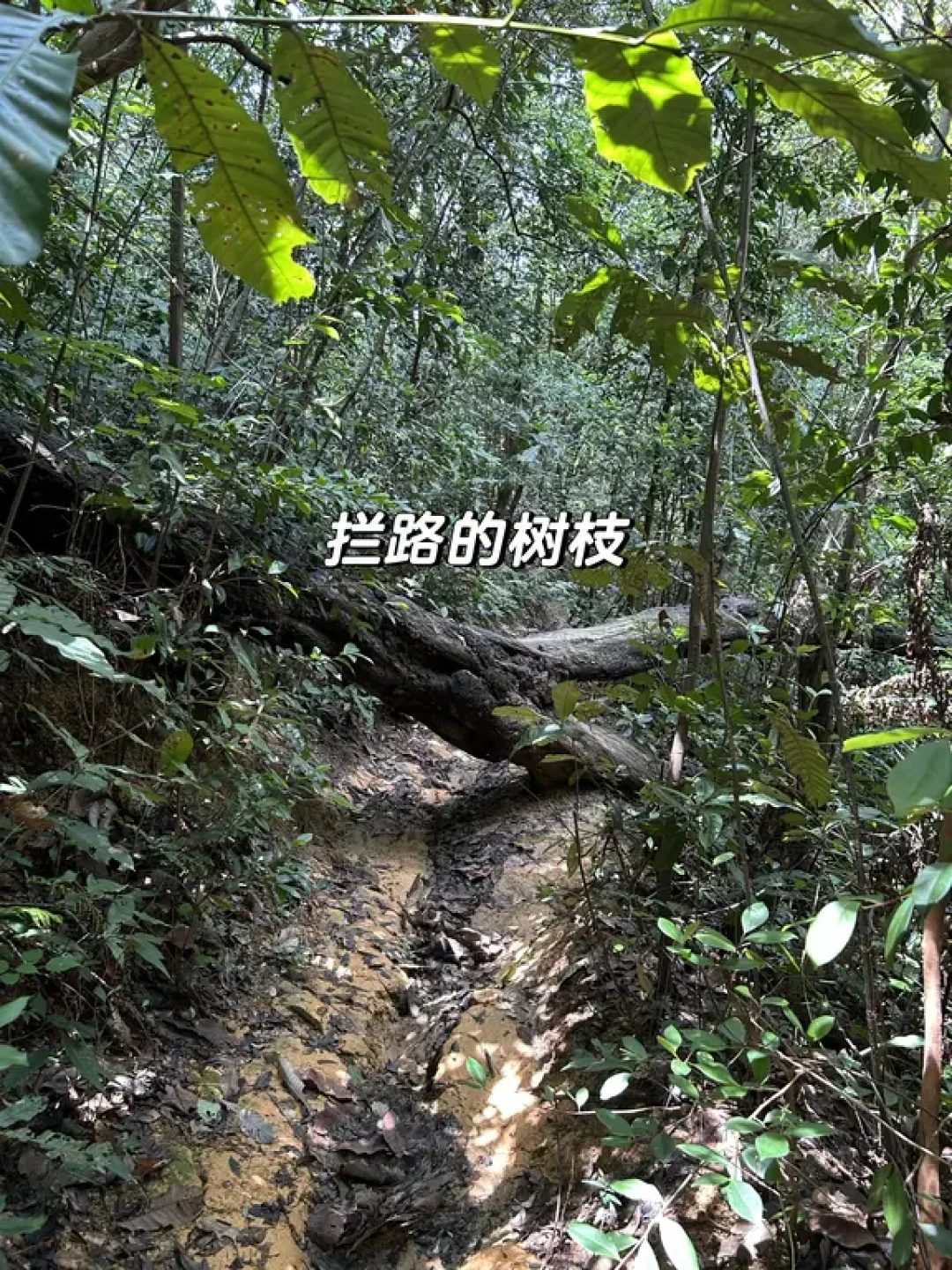 七夕最户外式的表白是“用脚画心”:六城爱心线徒步路线对比,先看你的腿能不能走完