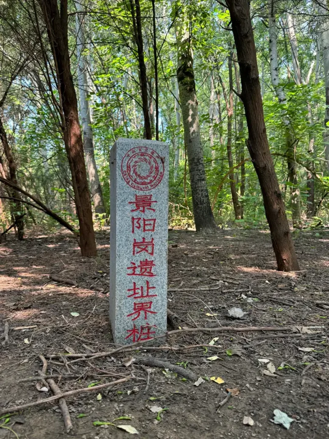 武松真能打死虎吗?把虎、冈、景区一次查清楚