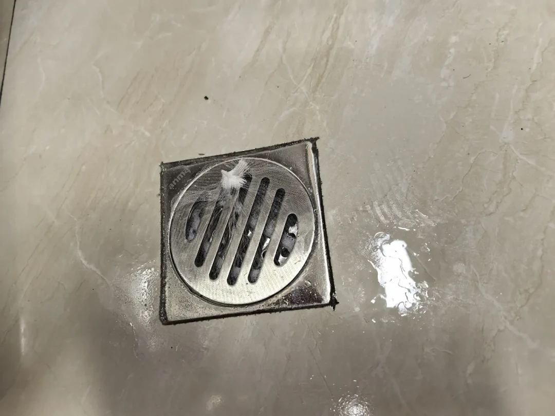 卫生间小飞虫杀不完？翻了上万条真实经验：你一直在杀错对象